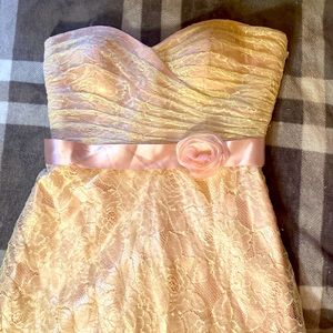 Vintage blush dress- needs new zipper